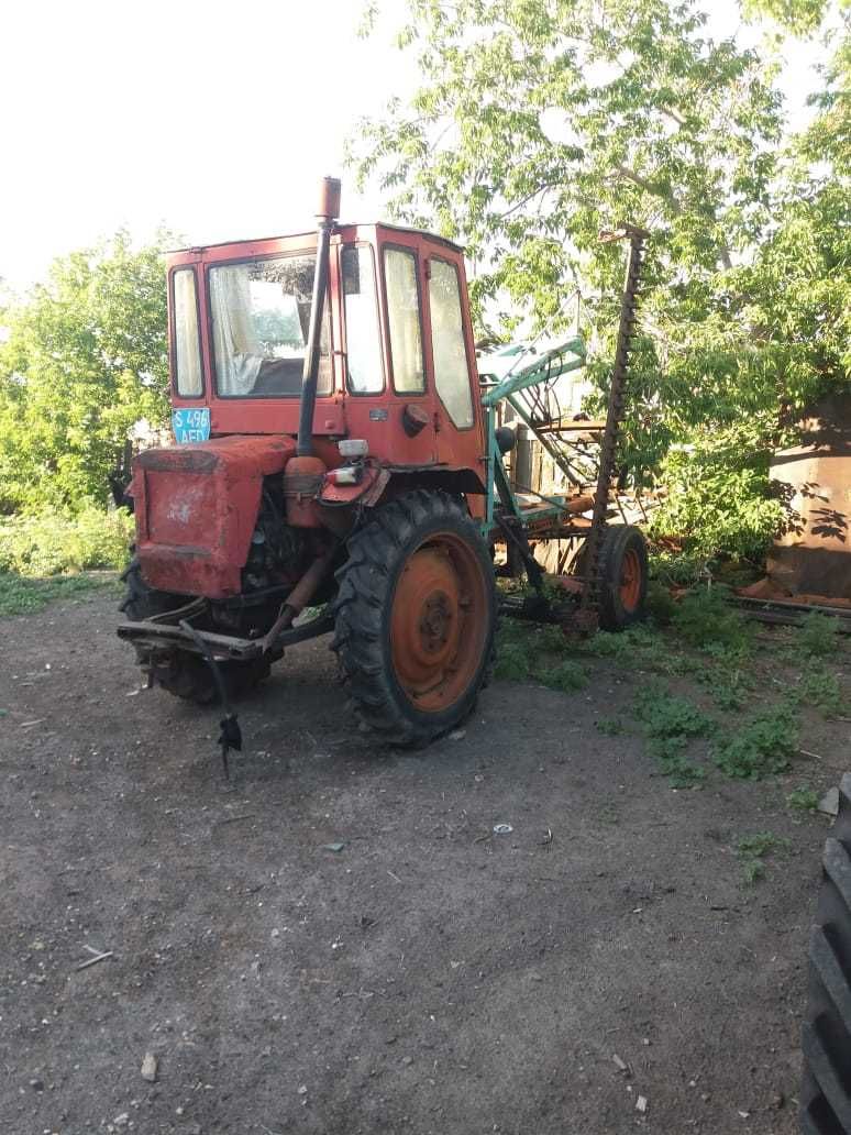 Продам трактор Т-16 м