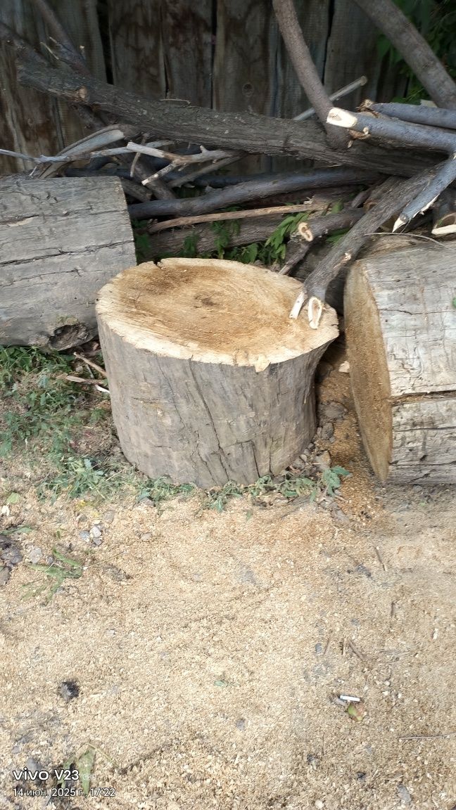 СРОЧНО  дрова на шашлыки,баню отдам