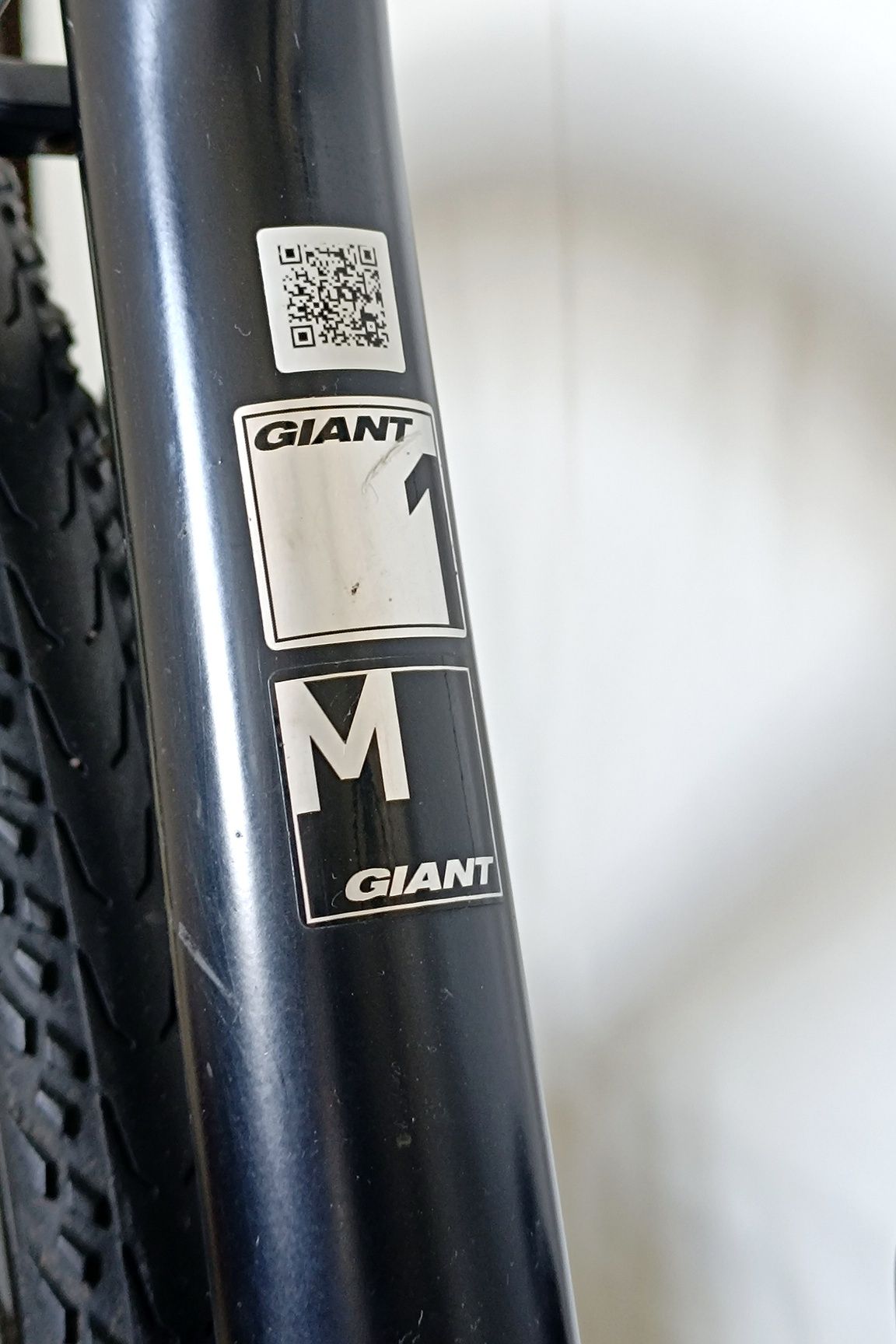 Giant anyroad - 1 2019