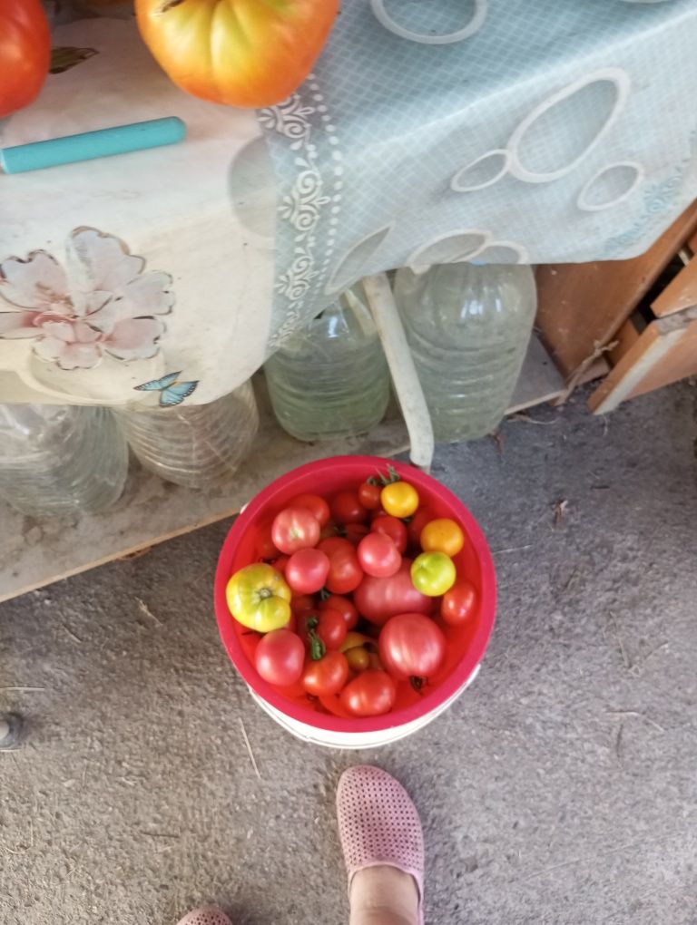Продам дачу по кульджинке 9 соток