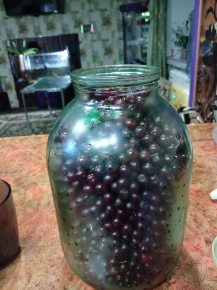 Продам свежую  черемуху