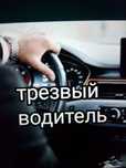 Трезвый водитель