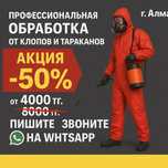 Уничтожение тараканов и клопов Алматы