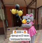 Мишки Тедди Аренда Ростовые Куклы Аренда Мишка Прокат Мишка