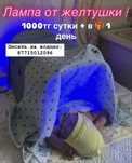 Лампа от желтушки. Кювез