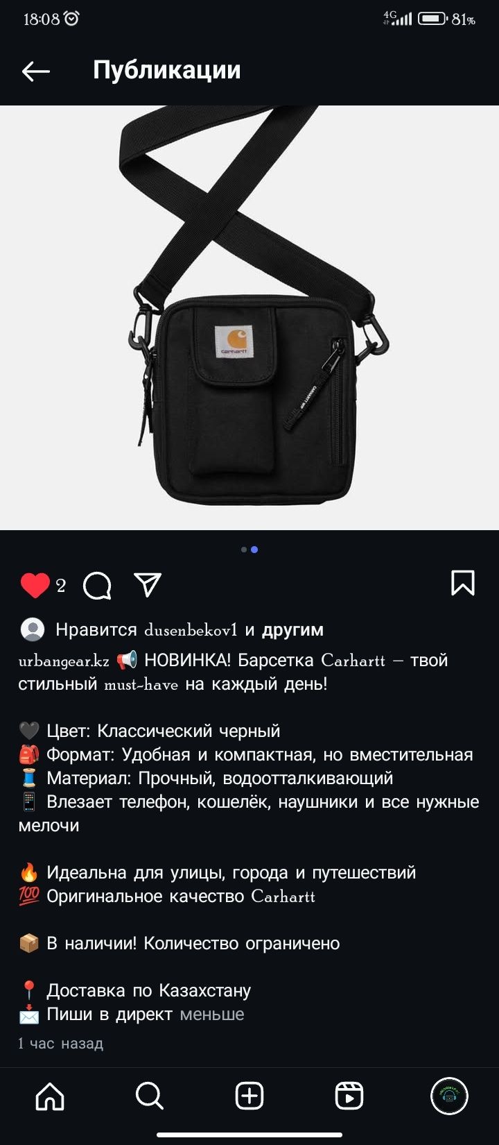 Барсетка Кархарт
