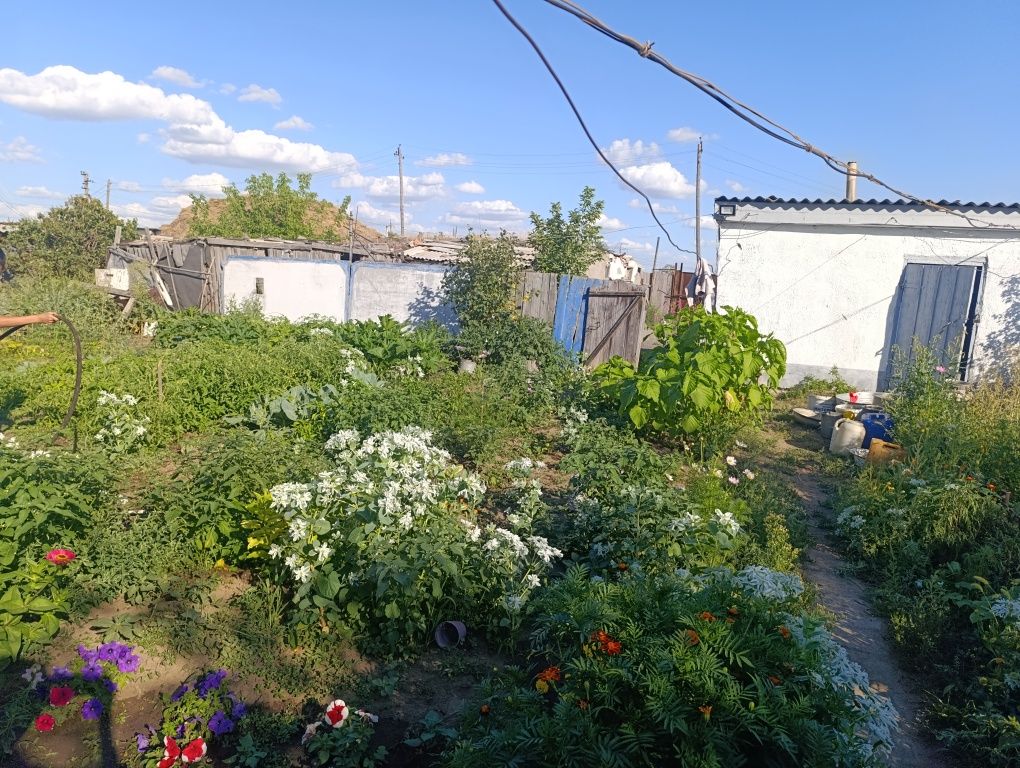 Частный дом, поселок заря
