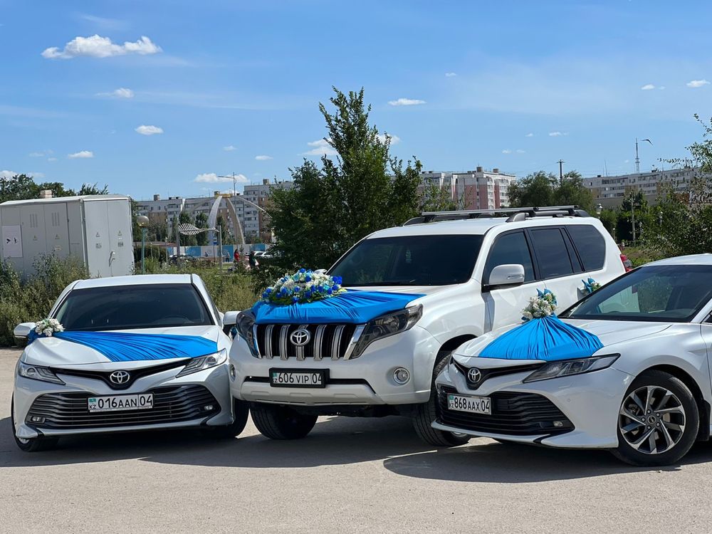 Аренда авто Прокат Кортеж Картеж Трансфер Выписка Роддом Гулянка Той