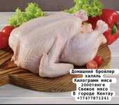 Домашнее Мясо бройлера свежое мясо