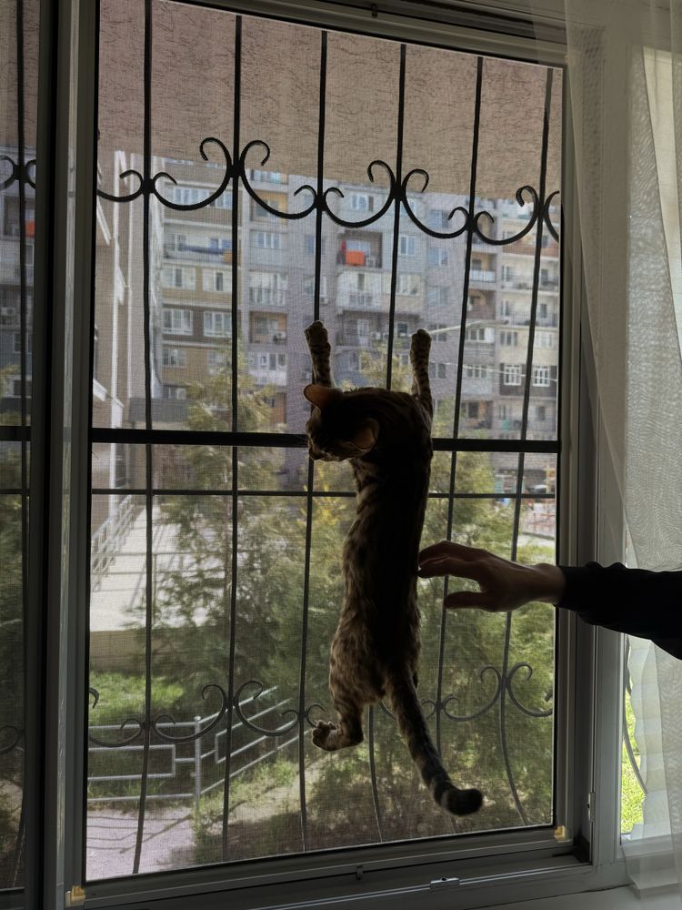 Решетка анти-кошка