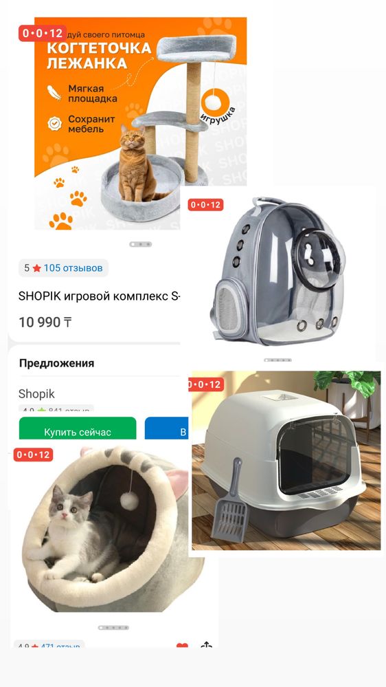 Котенок. Мысық. Кот. Кошка