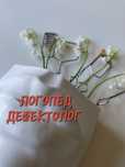 Логопед - Дефектолог