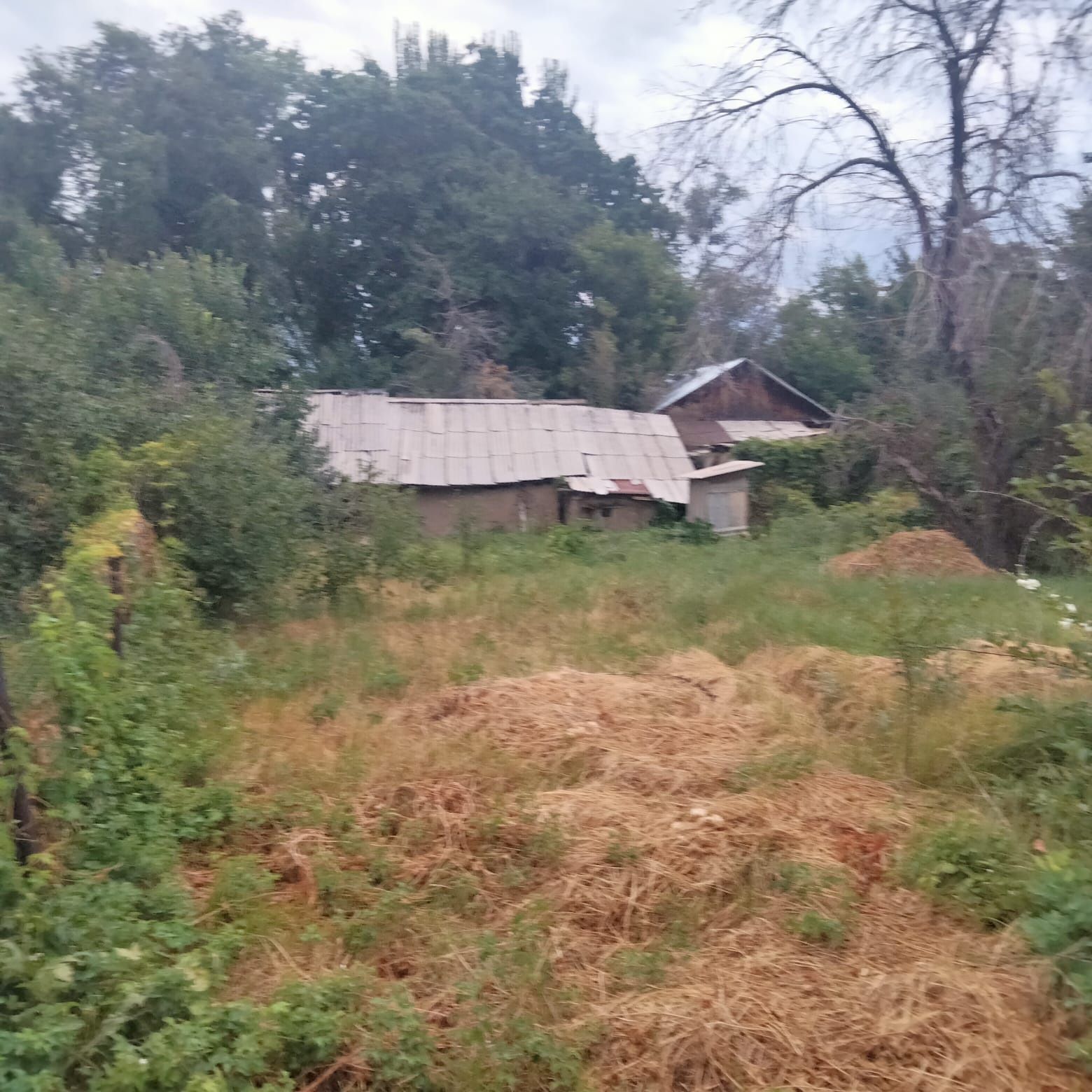 Продам дом экологически чистом районе Алматинской области с Тургень,