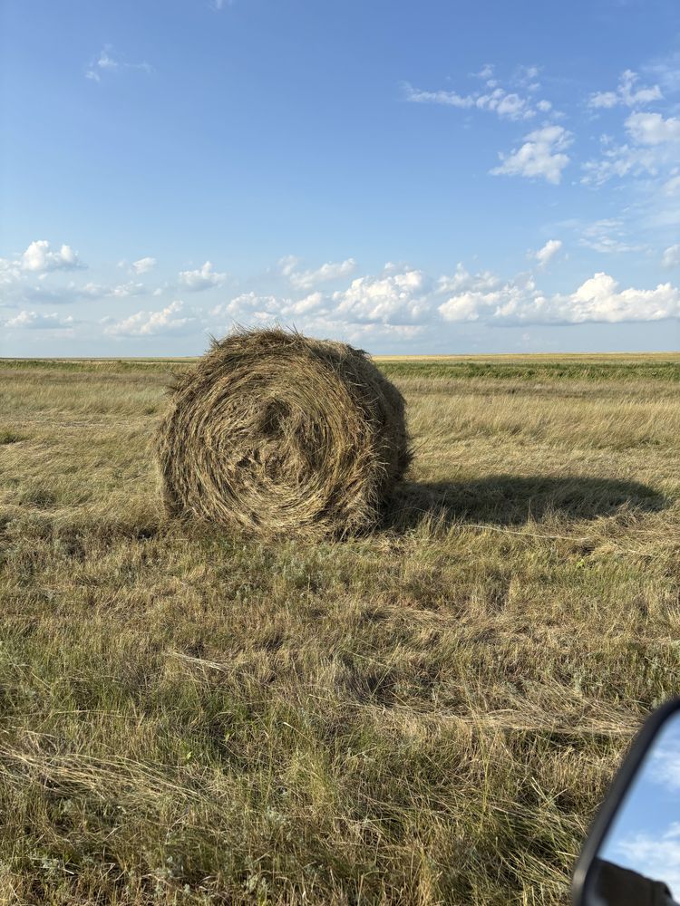 Продам сено в руллонах!