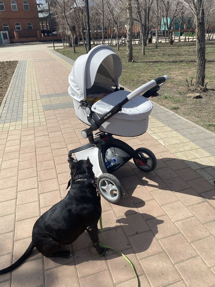 Продам коляску Hot mom 2 в 1