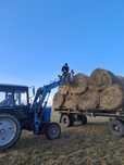 Продам сено рулонах житняк 5000тенге с места