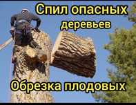 Спилим дерево любого размера и сложнлсти