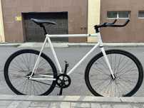 6ku fixie polar..