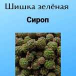 Сироп из Зелёной шишки от кашля ,для иммунитета