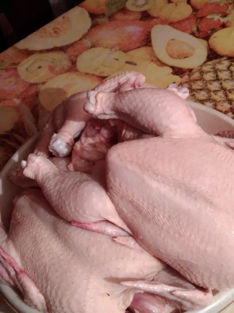 Продаю мясо бролера.