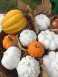 Декор осень тыква Хэллоуин Halloween дом офис мастеркласс заготовки