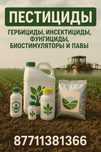 Продаю пестициды