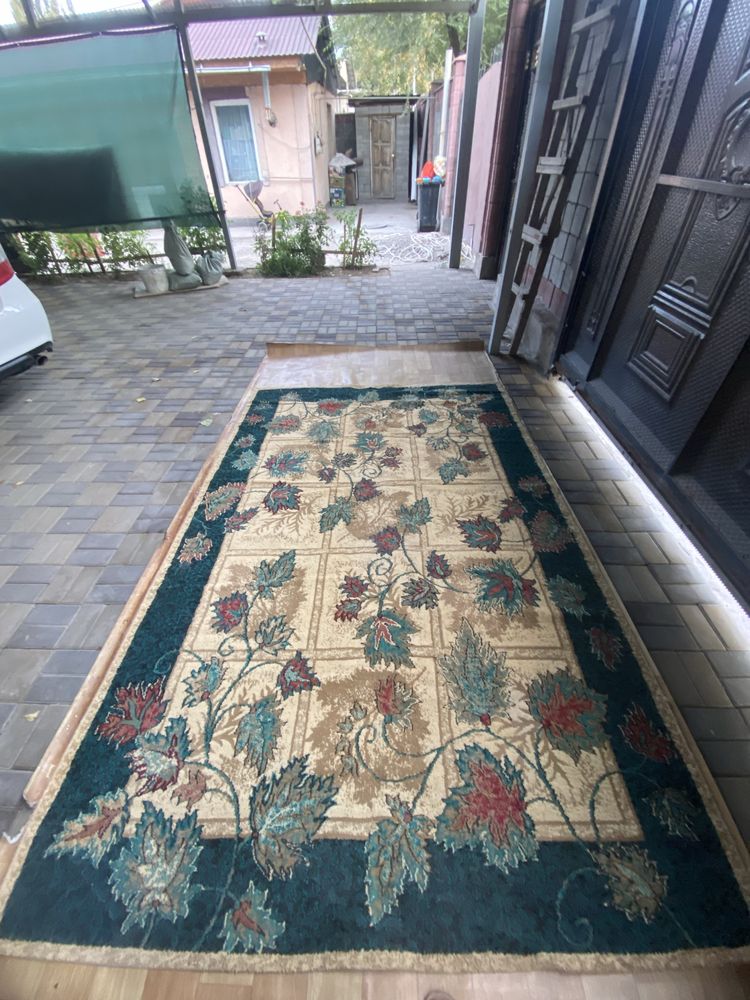 Клем палас 2 түрі бар