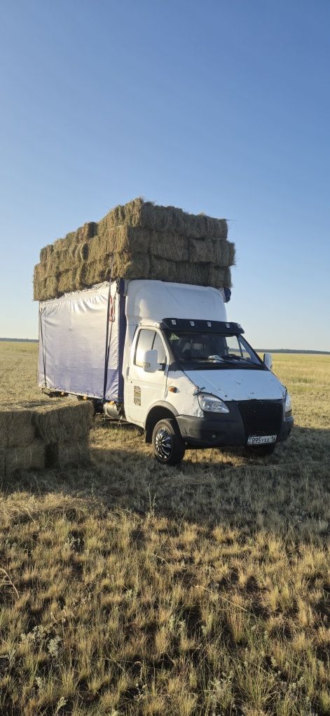 Сено  в продаже сено