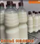 Продается козье молоко