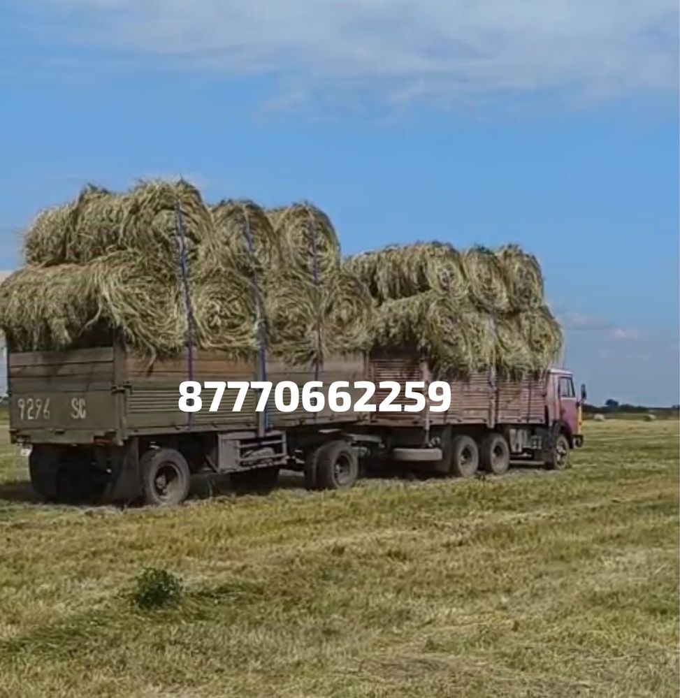 Продам сено луговое