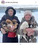Отдам щенят возраст 2 месяца