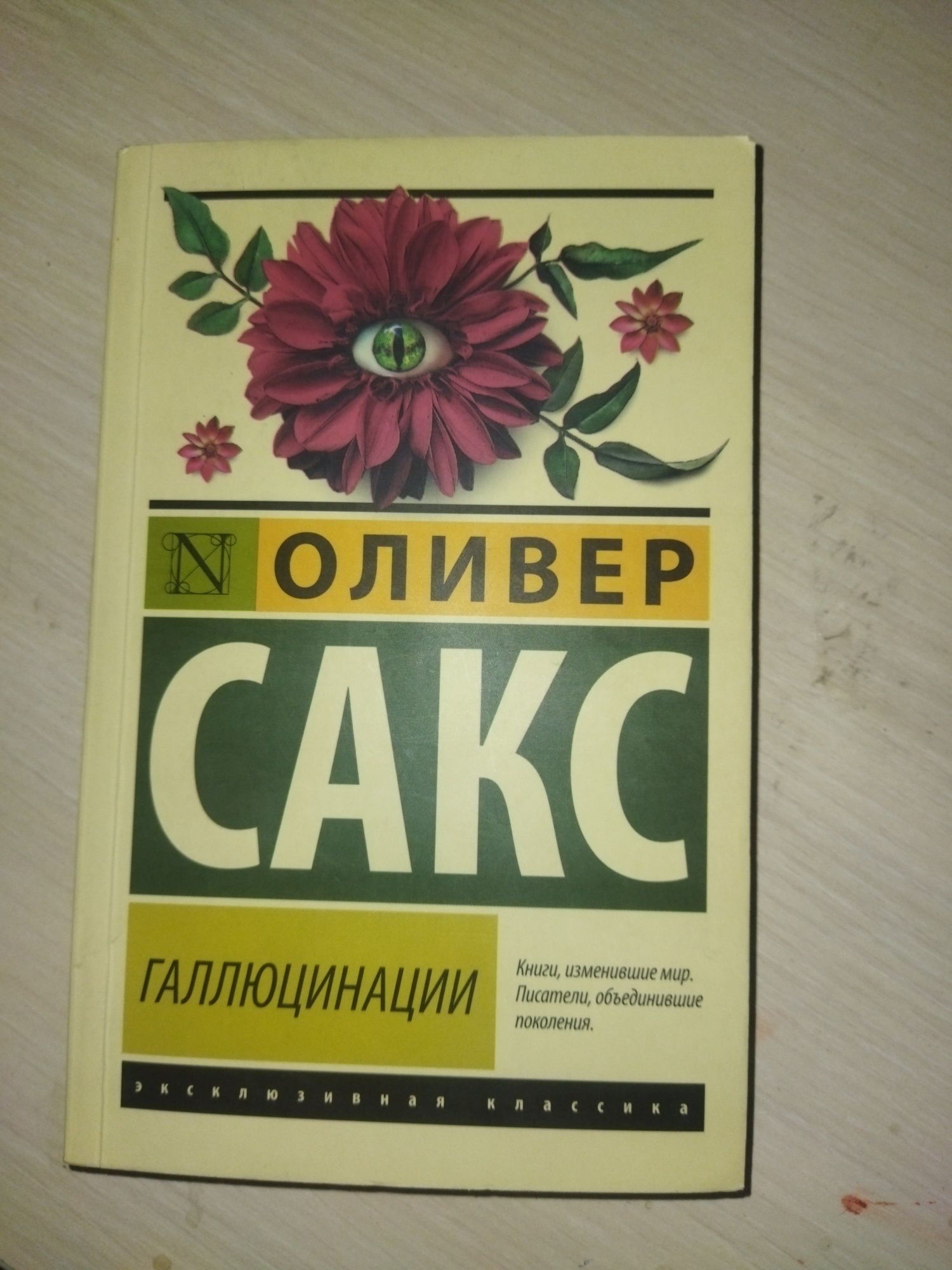 Книга: Оливер Сакс " Галлюцинации"