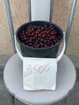 Продам вишню 3500тг