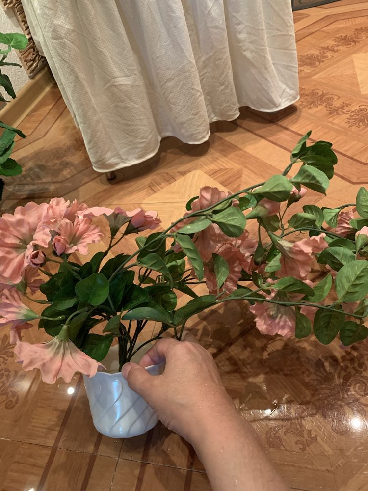 Цветы в горшках декоративные