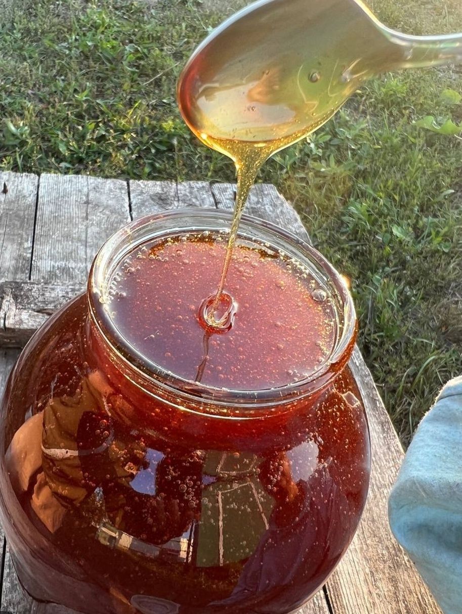 Продам свежий мёд с личной пасеки.