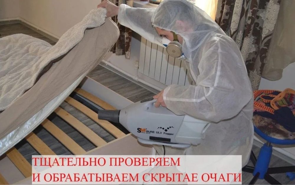 Дезинфекция от клопов, тараканов  и других насекомых