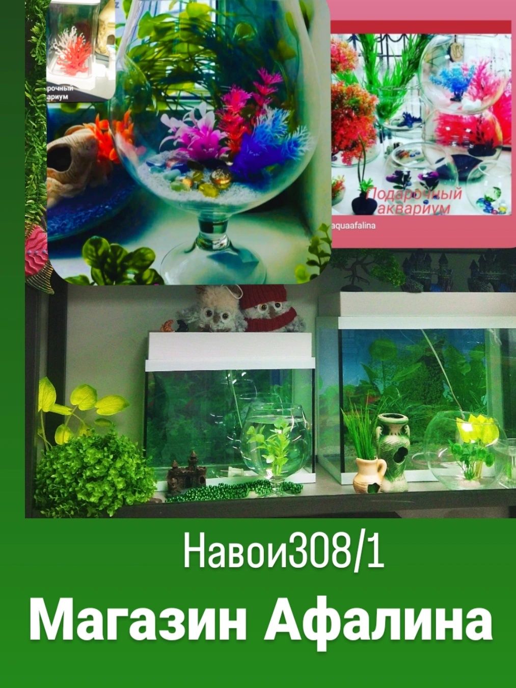Фронтоза ,р-н Орбита