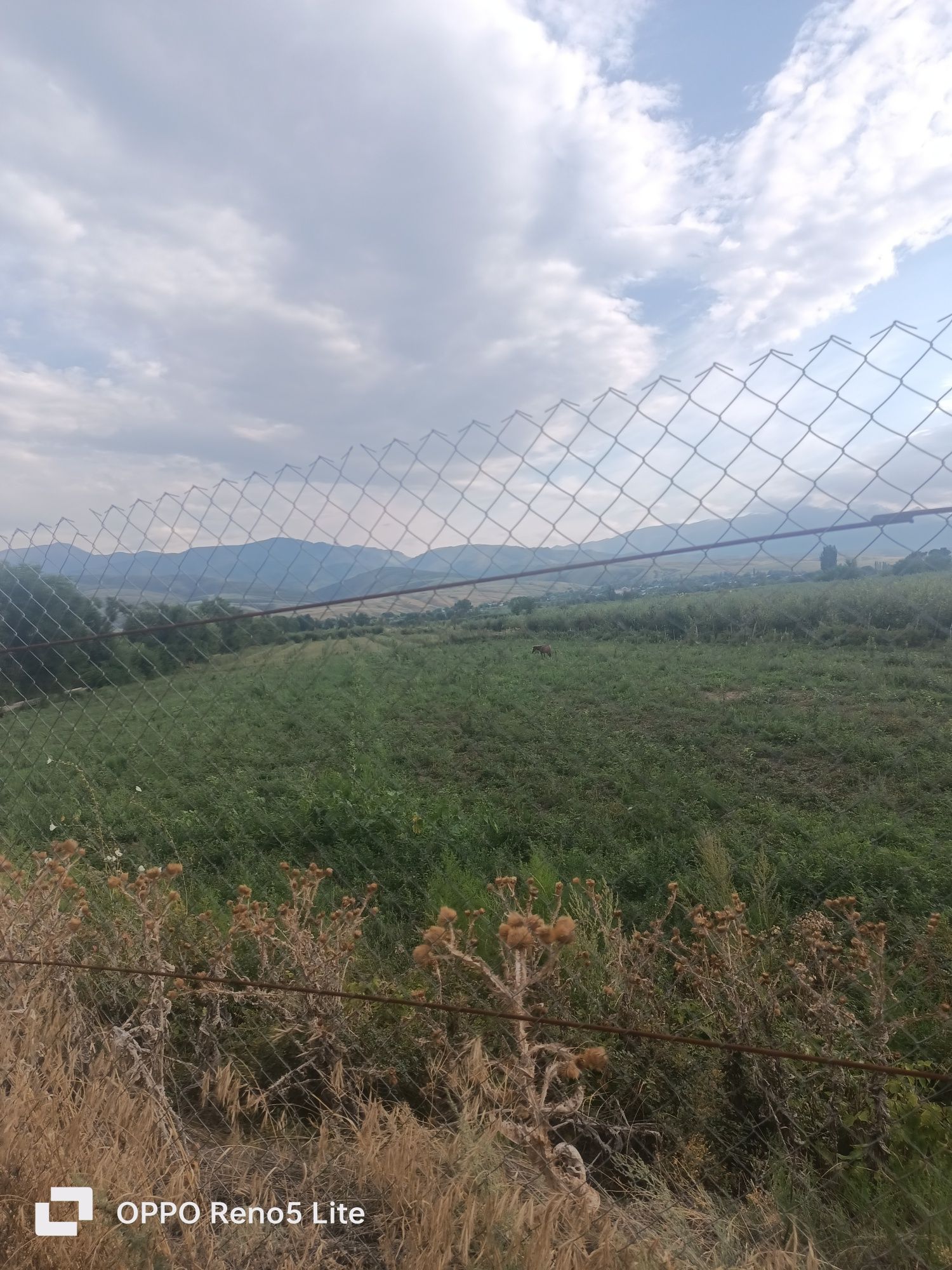 Продам земли 3,2Га и 0,8Га.