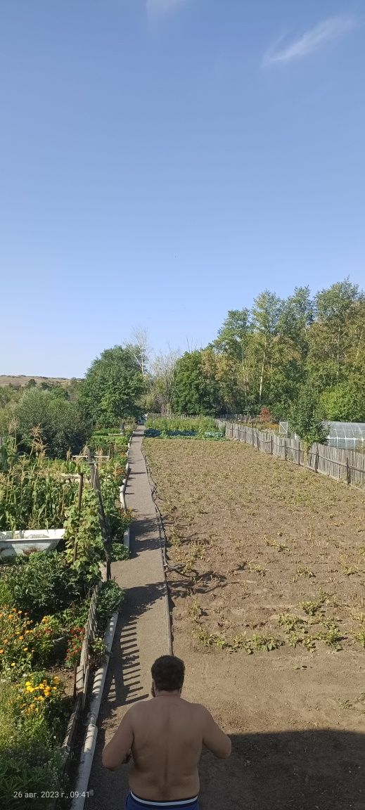 Продаем дачу в обществе Мичуринец