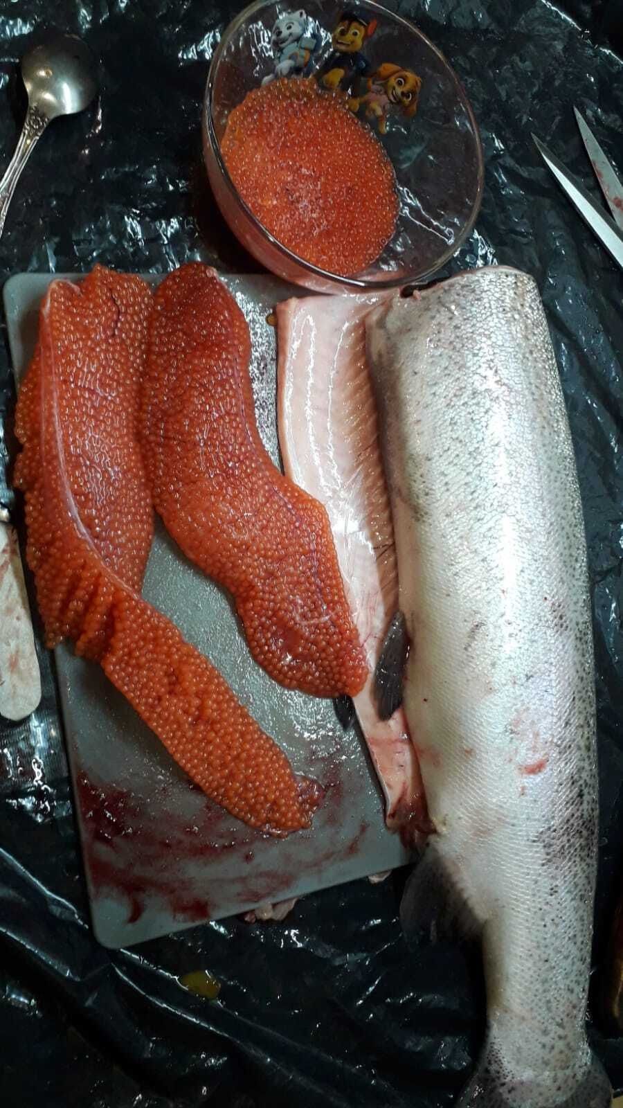 Кета, кижуч, горбуша, сиг, голец и т. Д.