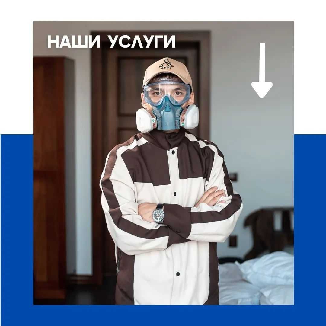 Профессиональные услуги по уничтожению насекомых и грызунов:
