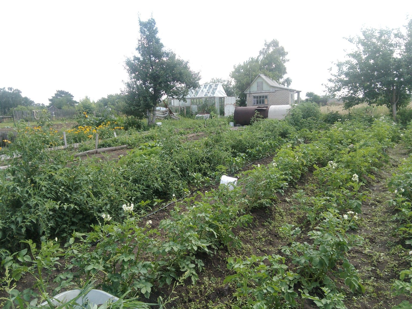 Продам дачу 7общество