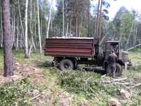Продам дрова разные.Это пример загрузки есть разные