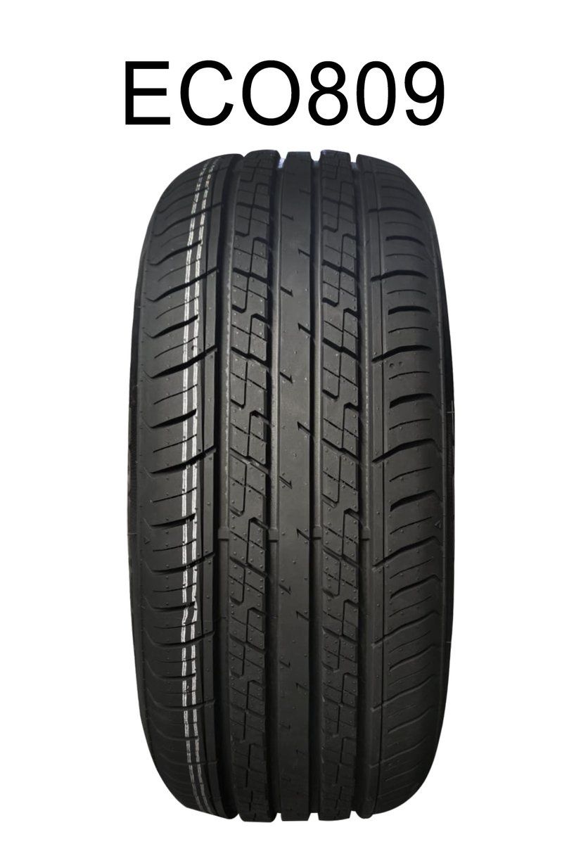 205/60R16 92H Rapid ECO809