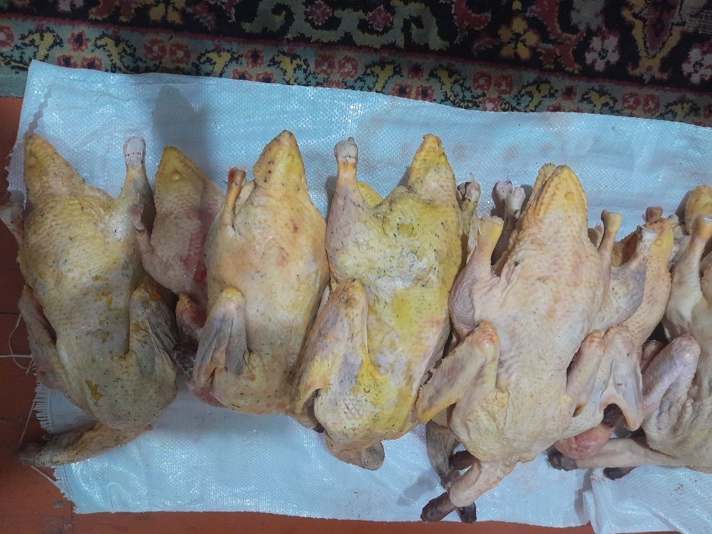 Продаем мясо утки