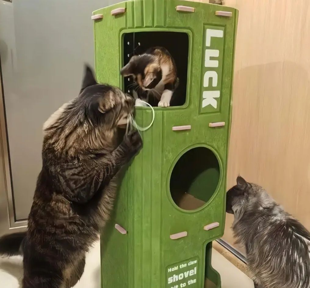 Когтеточка,лежанка,домик