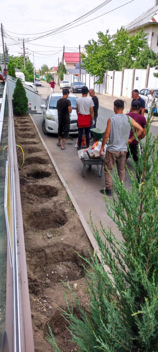 Газон. Озеленение. Посадка растений. Система полива.