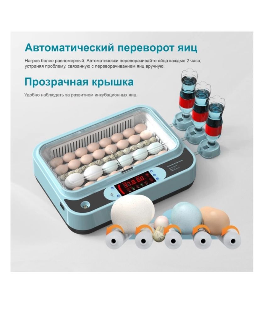 Фермер инкубатор, вместимость: 36 шт