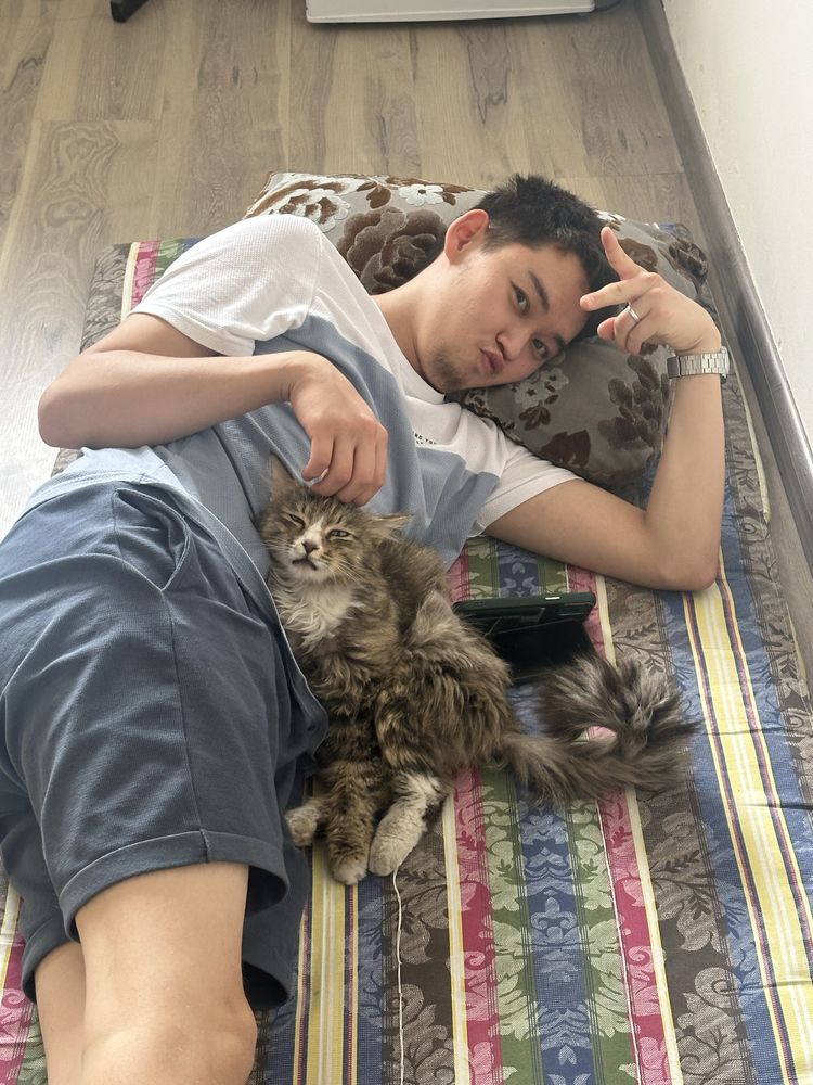 Отдаем котика в добрые руки