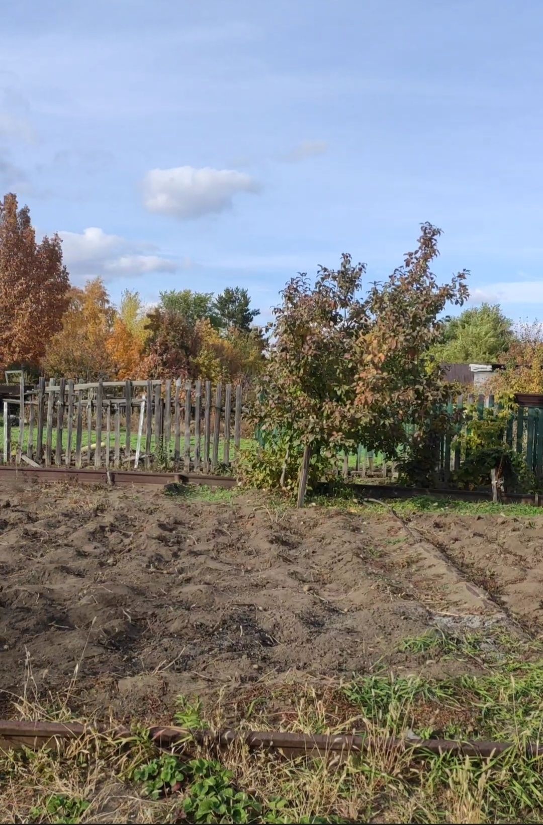Продам Дачу Сад Здоровье